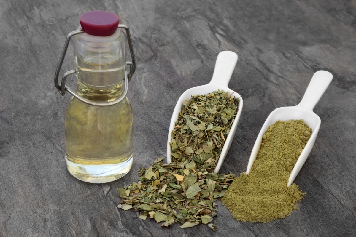 Moringa jest dostępna w kilku formach i kombinacjach. Źródło: Getty Images Różne formy moringi: olej w butelce, posiekane części na łyżce, zmielone na łyżce