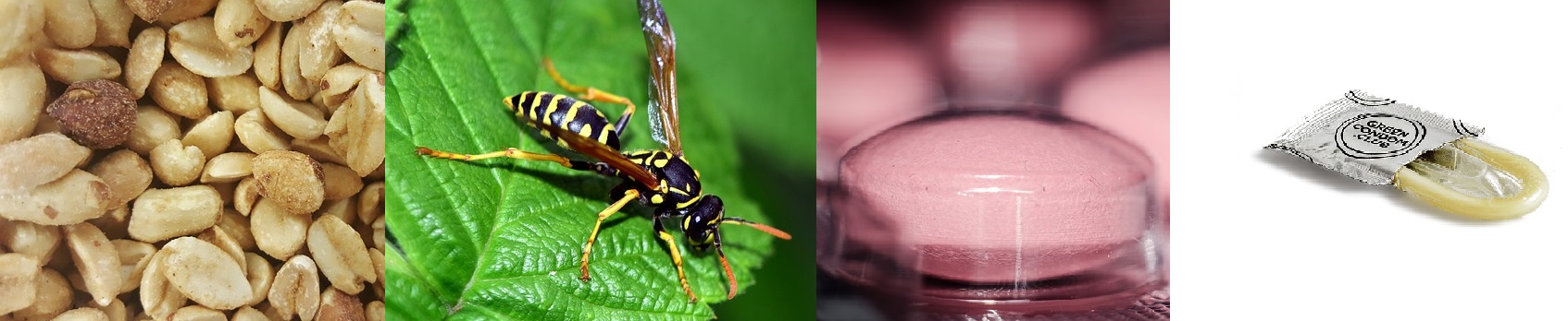 Najczęstsze alergeny - pokarmy takie jak orzeszki ziemne, jad osy, leki, lateks. Źródło: Getty Images alergie - najczęstsze alergeny, orzechy, jad osy, leki, lateks