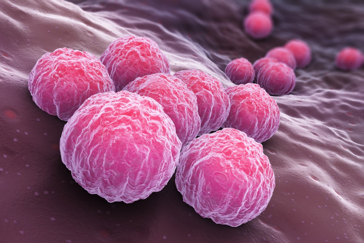 Chlamydia trachomatis Źródło: Getty Images Chlamydia trachomatis - spojrzenie na bakterie