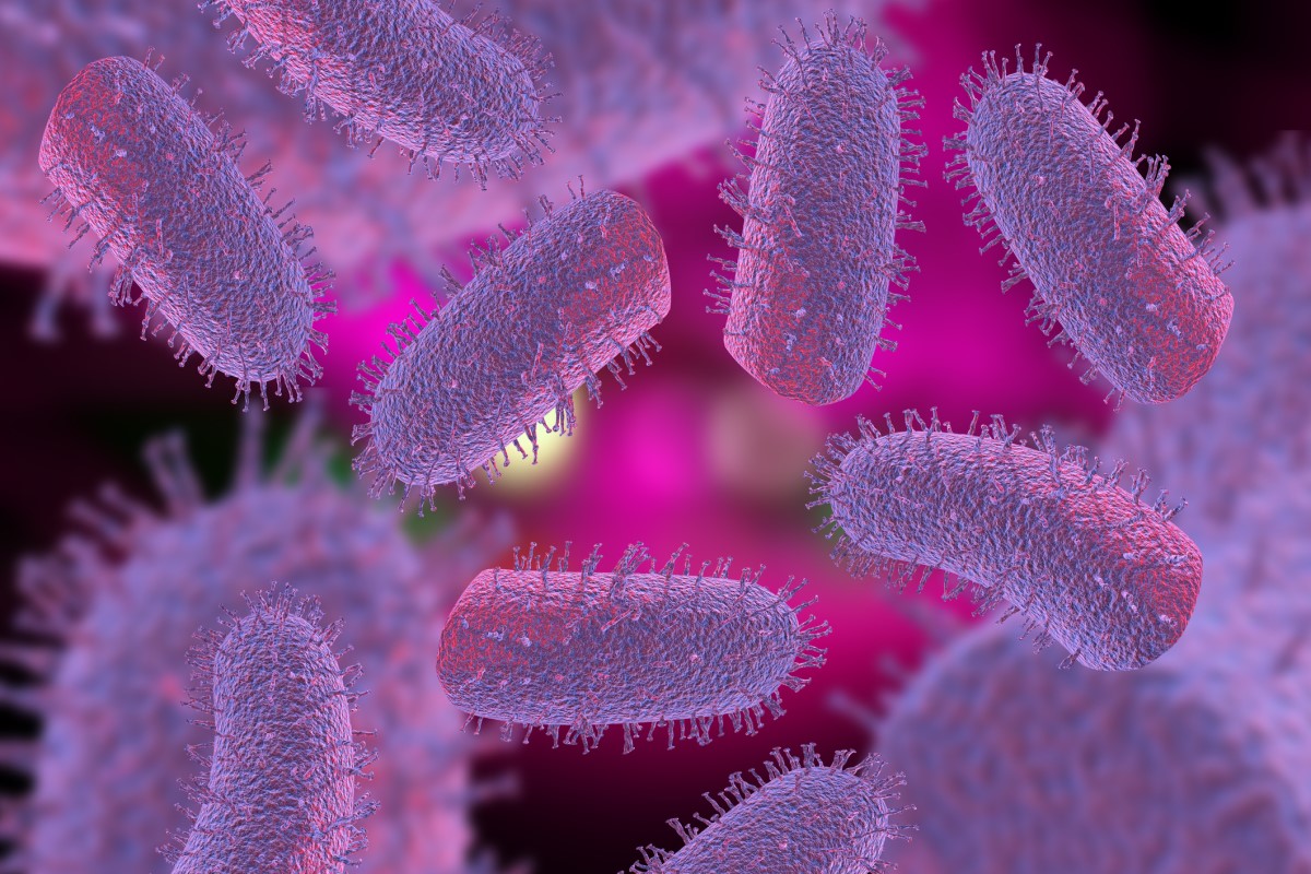 Czynnik wywołujący wściekliznę - lizawirus. Źródło: Getty Images Lyssavirus - wirus Lyssa - reprezentacja 3D wirusów wścieklizny