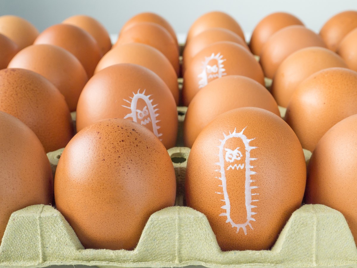 Niewłaściwie przetworzona żywność i zanieczyszczenia wynikające z niewłaściwej obsługi. Źródło: Getty Images Salmonella narysowana na jajku, opakowanie po jajku