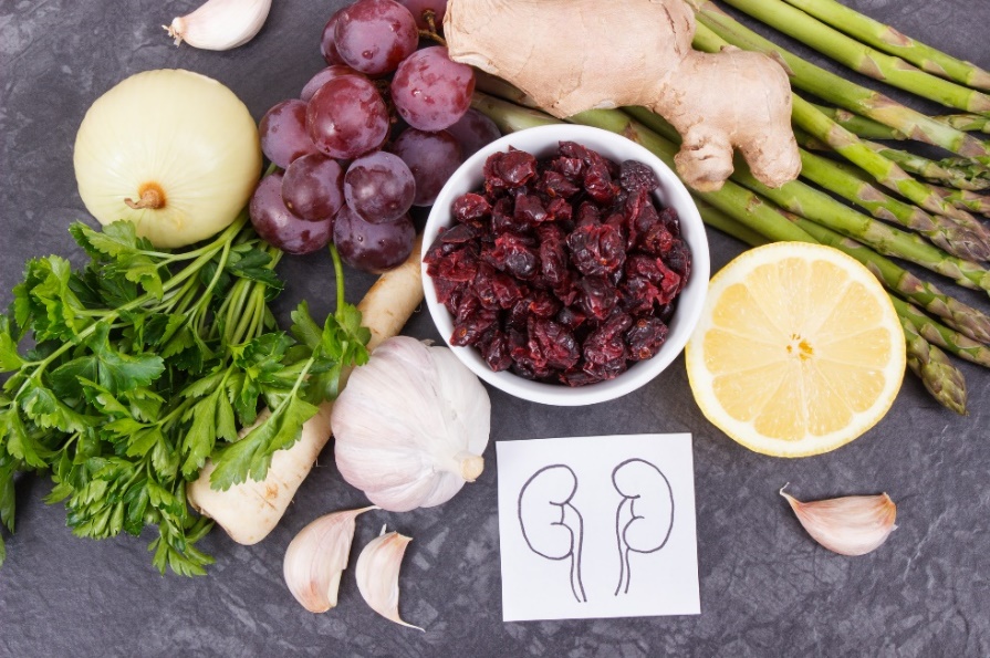 Promowanie i zapobieganie zdrowiu nerek i dróg moczowych poprzez odpowiednią dietę