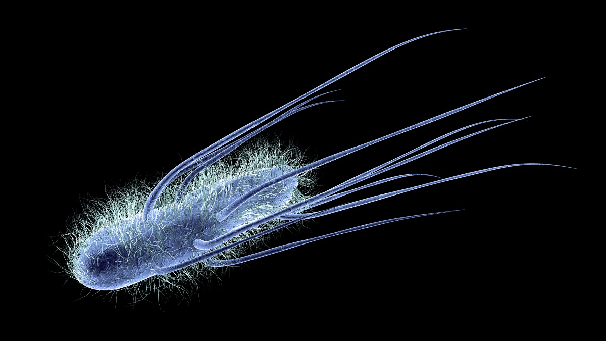 Reprezentacja 3D bakterii Escherichia coli Źródło: Getty Images Reprezentacja 3D bakterii Escherichia coli