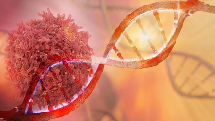 komórka nowotworowa w DNA