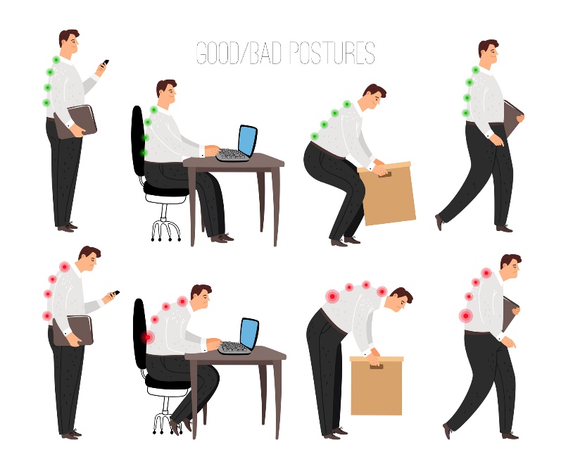 Ergonomia ruchu i profilaktyka zdrowia układu mięśniowo-szkieletowego