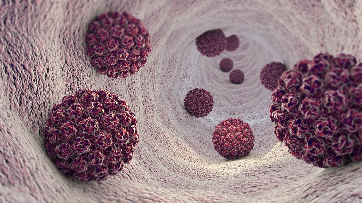 HPV - wirus brodawczaka ludzkiego