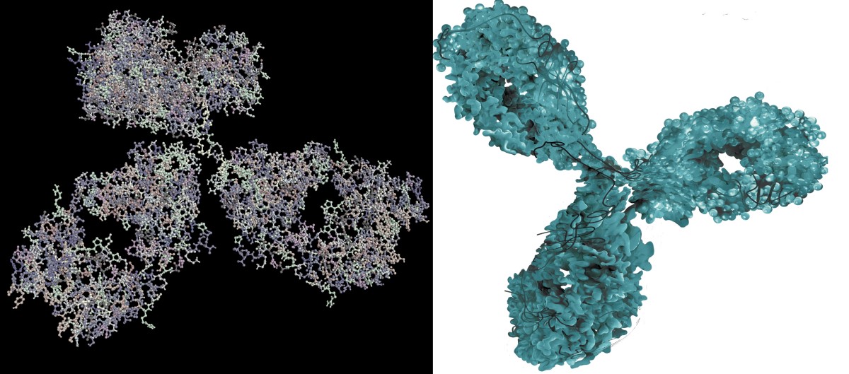 Przeciwciała monoklonalne (leczenie raka i chorób autoimmunologicznych). Źródło: Getty Images Obrazowanie molekularne przeciwciała monoklonalnego - leku biologicznego