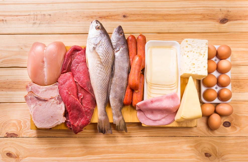 białko grupa zwierząt. grupa kwasów. źródło: Getty Images Białko (proteiny) grupa zwierząt grupa kwasów