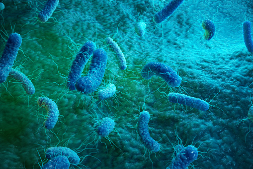 Zdjęcie bakterii Stick: Getty Images mikroskopijnie powiększone bakterie