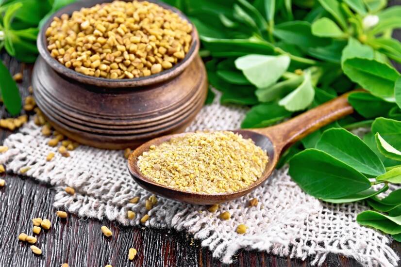 Kozieradka (fenugreek): jaki ma wpływ na zdrowie, libido?
