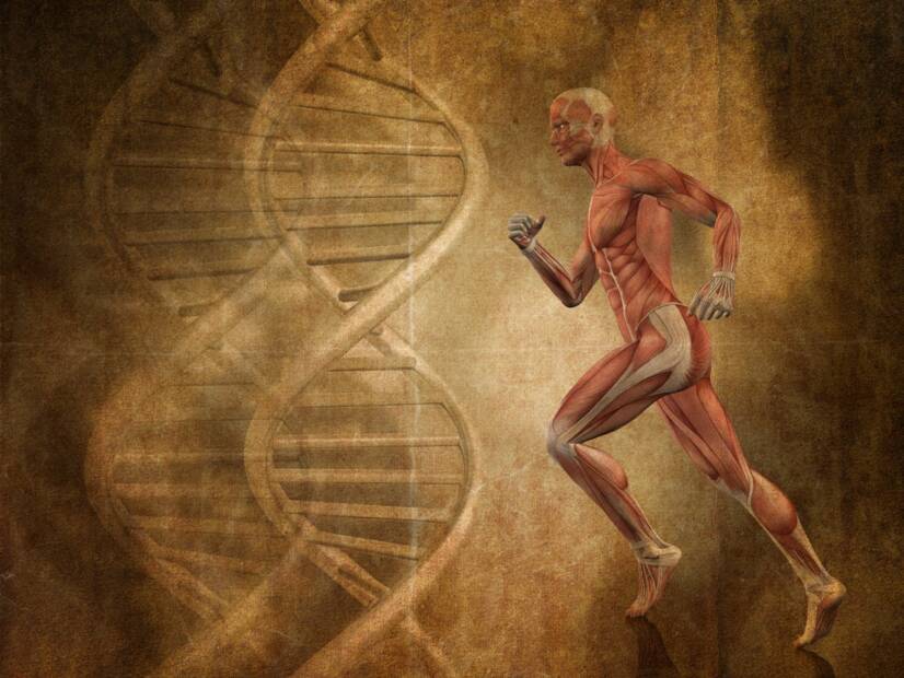 Czym jest choroba Pompego, jakie są jej objawy, przyczyny i diagnoza?