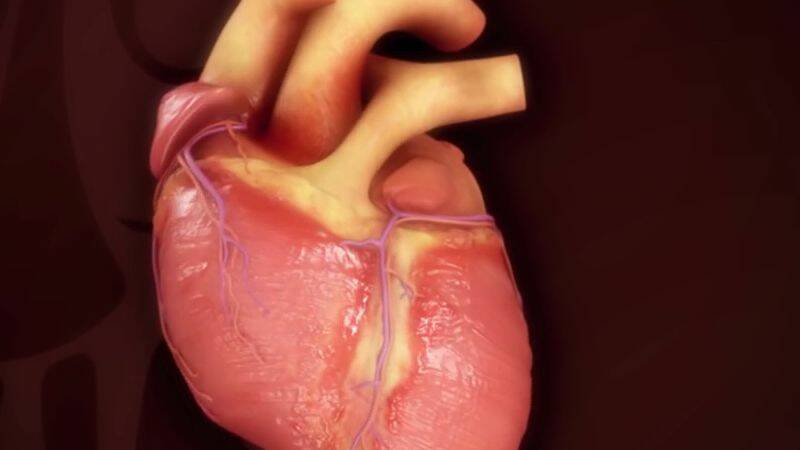 Tetralogia Fallota: Czym jest i jak objawia się ta wada wrodzona?