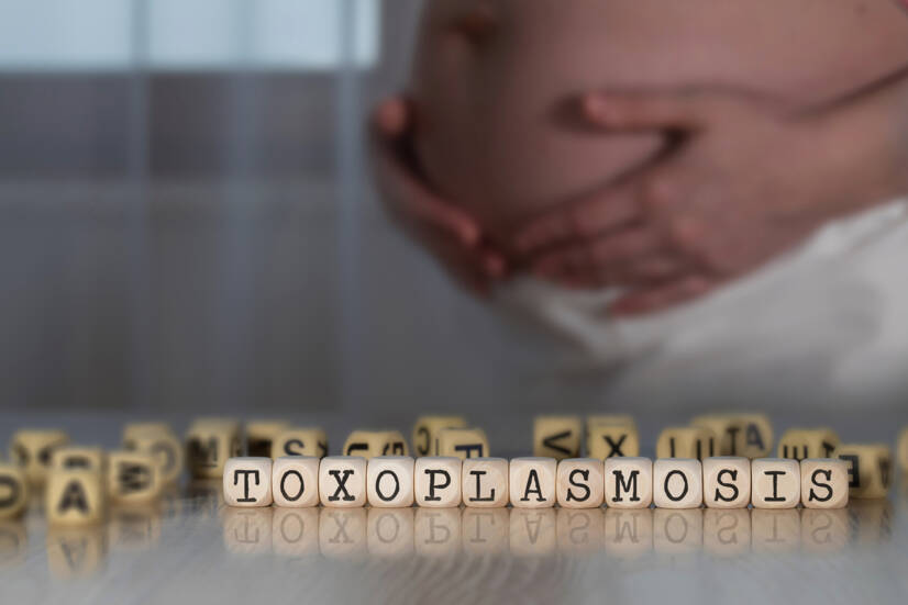 Toksoplazmoza: co to jest, objawy i rozprzestrzenianie się? Jakie są jej objawy i jak wpływa na ciążę?