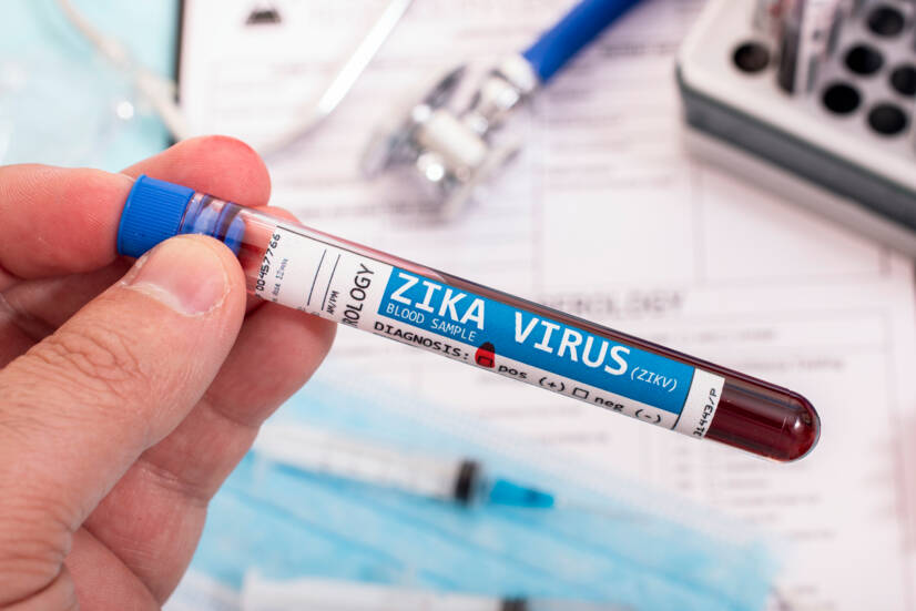 Wirus Zika: czym jest, jak się przenosi i jakie są objawy?