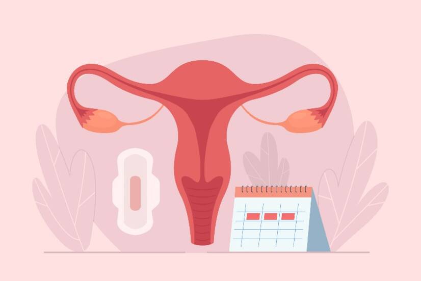Jak działa cykl menstruacyjny? Długość i fazy cyklu + objawy