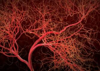 Co to jest zapalenie naczyń krwionośnych i co powoduje stan zapalny naczyń krwionośnych? + Objawy, leczenie