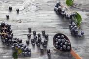 Aronia: Jaki jest jej wpływ na zdrowie (uprawa, stosowanie)?