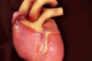 Tetralogia Fallota: Czym jest i jak objawia się ta wada wrodzona?