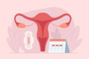 Jak działa cykl menstruacyjny? Długość i fazy cyklu + objawy