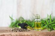 CBD - Kannabidiol: Czym jest i jakie są jego efekty? Czy jest bezpieczny w użyciu?